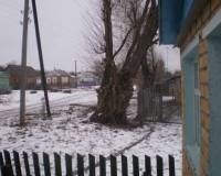 Мои фото, Зима в деревне
