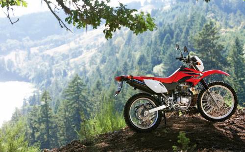 Honda CRF, Мотоциклы