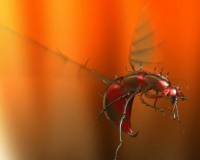 демо-картинка Летающий жук