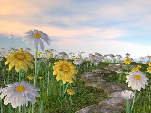 DaisyField, 3D обои