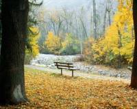 демо-картинка Осень в парке